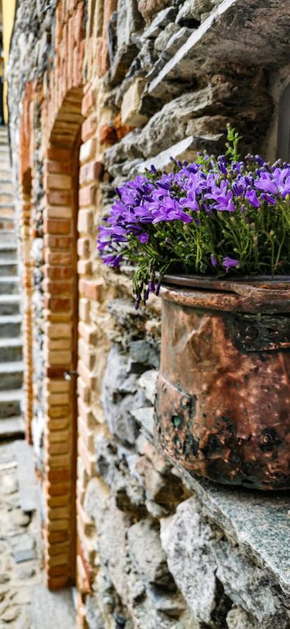 Agriturismo Il Medeghino Musso Luaran gambar